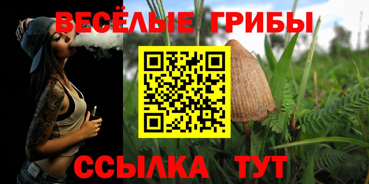 Псилоцибиновые грибы ЛСД Великие Луки