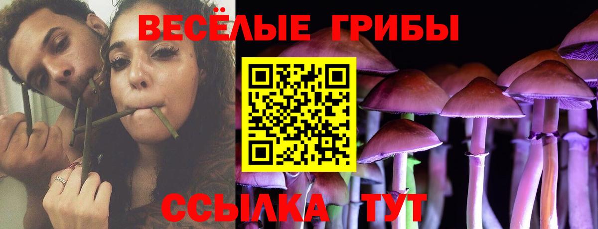 Галлюциногенные грибы Magic Shrooms  Вход с VPN  Псилоцибиновые грибы прущие грибы  Великие Луки 